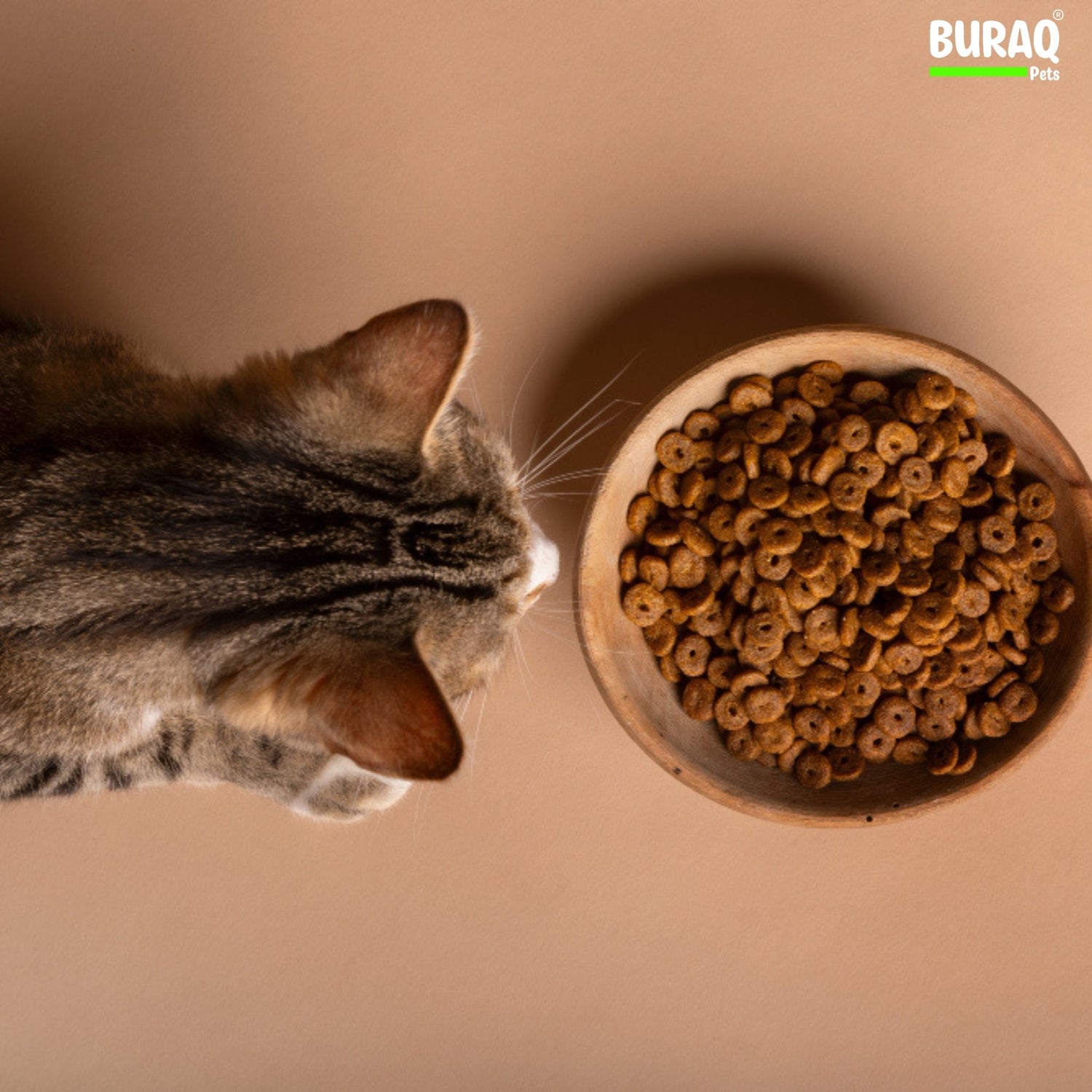 Best Cat Food in India | Vet-Approved Guide for Indian Cat Parents - BURAQ PETS