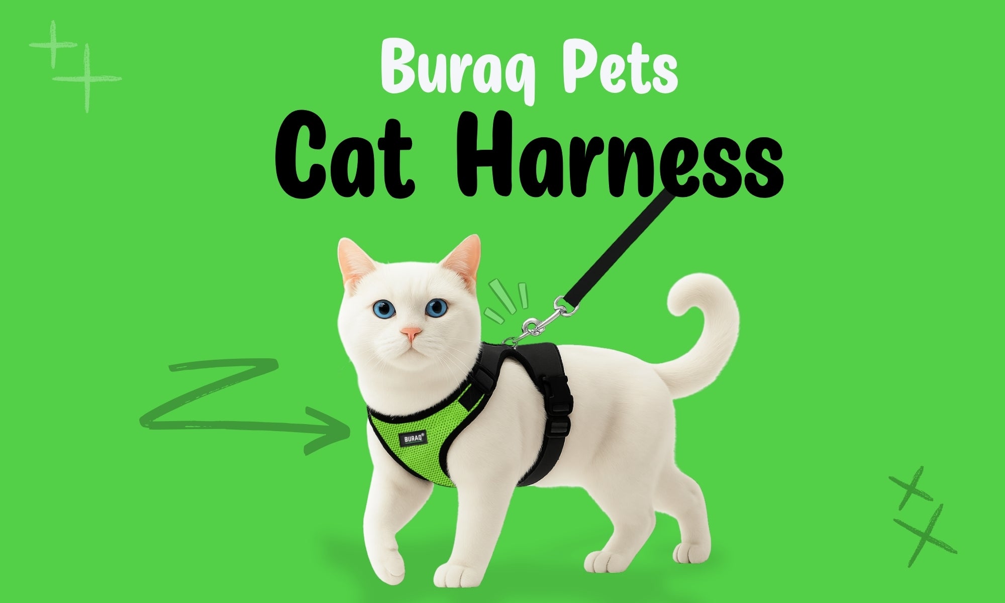 BURAQ PETS