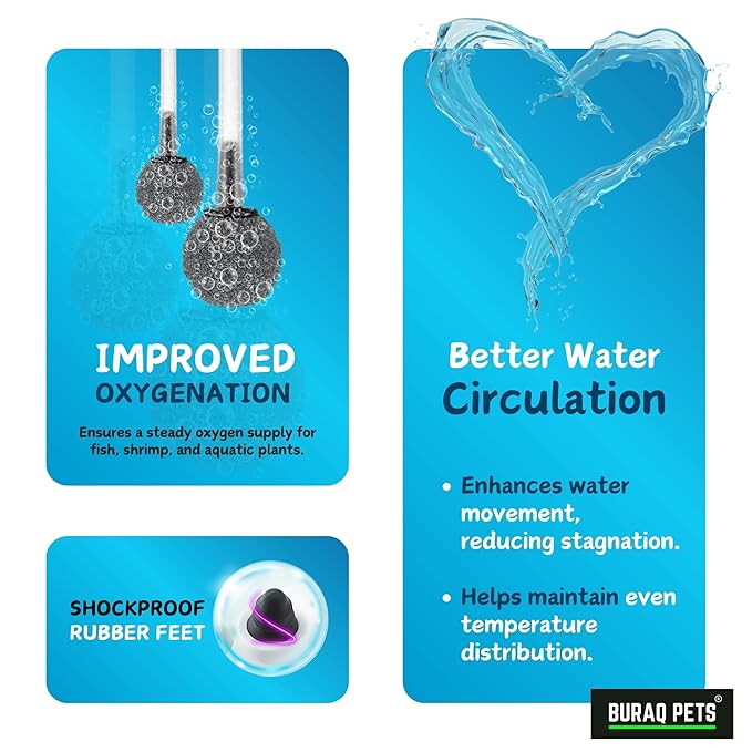 4 - Way Aquarium Air Pump – Improves Water Quality & Circulation - BURAQ PETS