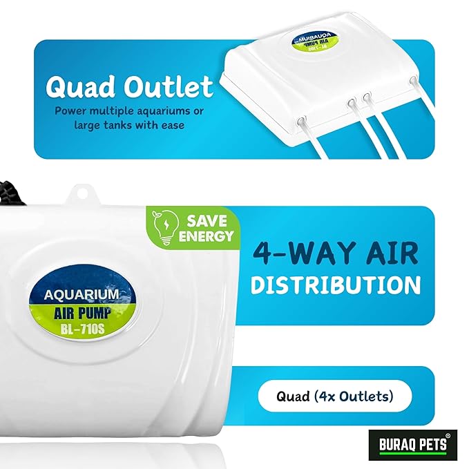 4 - Way Aquarium Air Pump – Improves Water Quality & Circulation - BURAQ PETS