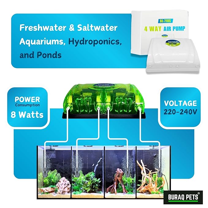 4 - Way Aquarium Air Pump – Improves Water Quality & Circulation - BURAQ PETS