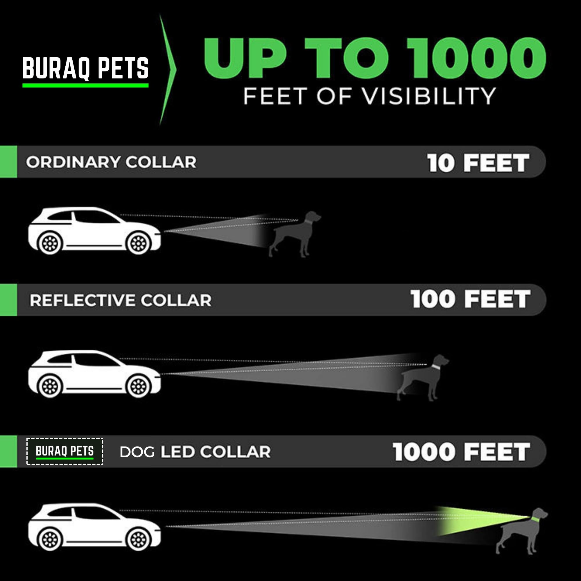 Led Dog collor