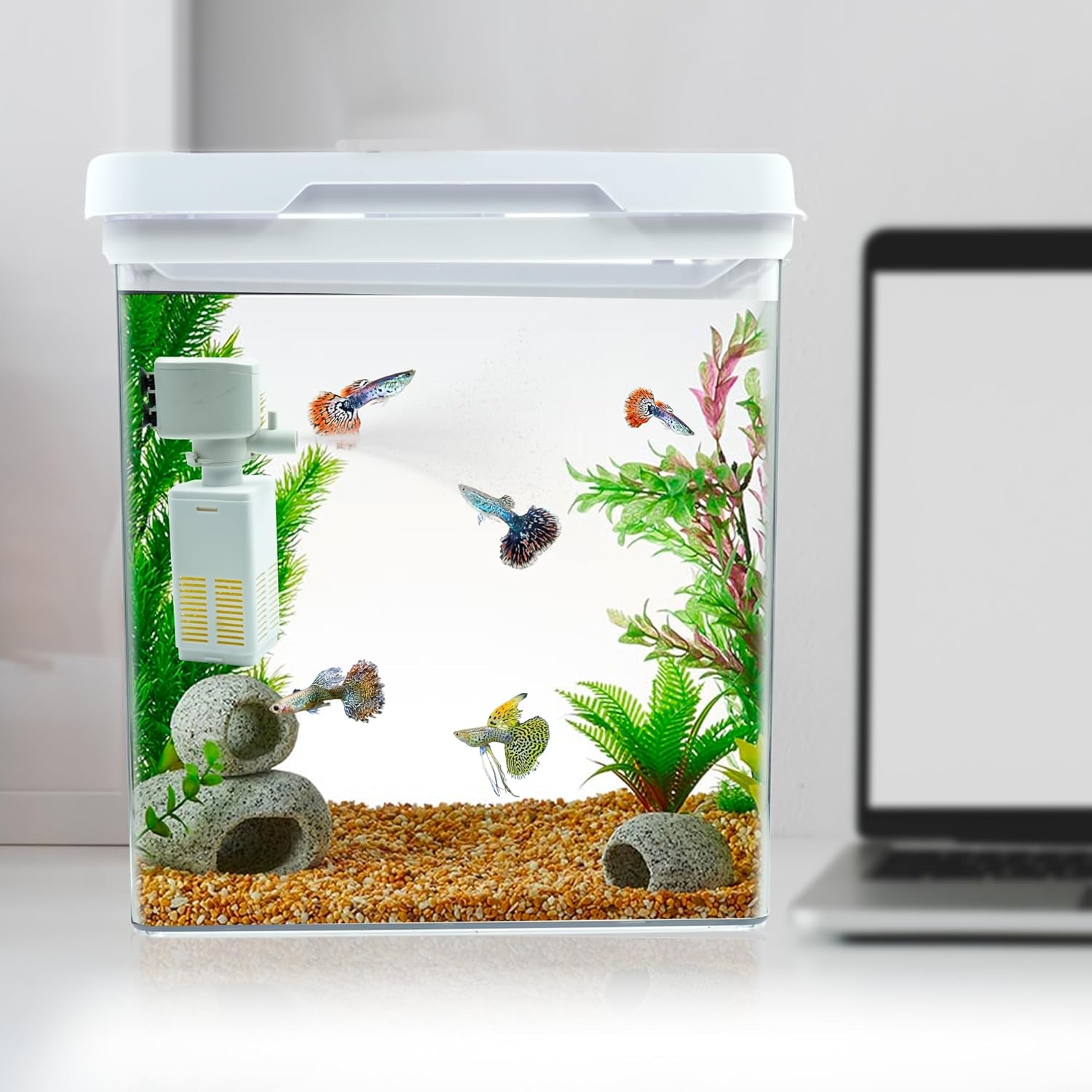 Buraq 4K Transparency Fashion Aquarium Mini Fish Tank with Filter & Light, Polycarbonate Material, Suitable for Home, Living Room and Office (26