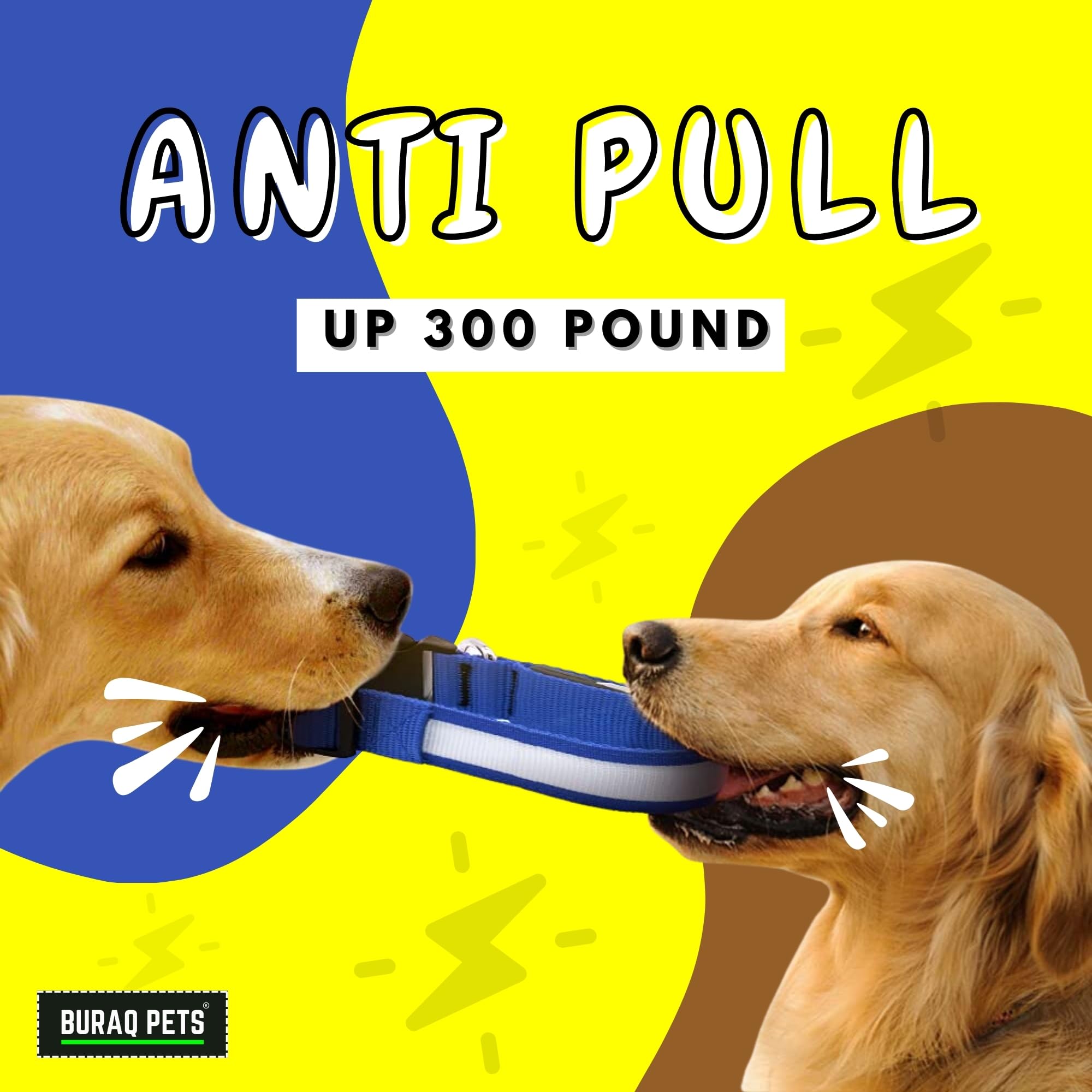 Led Dog collor