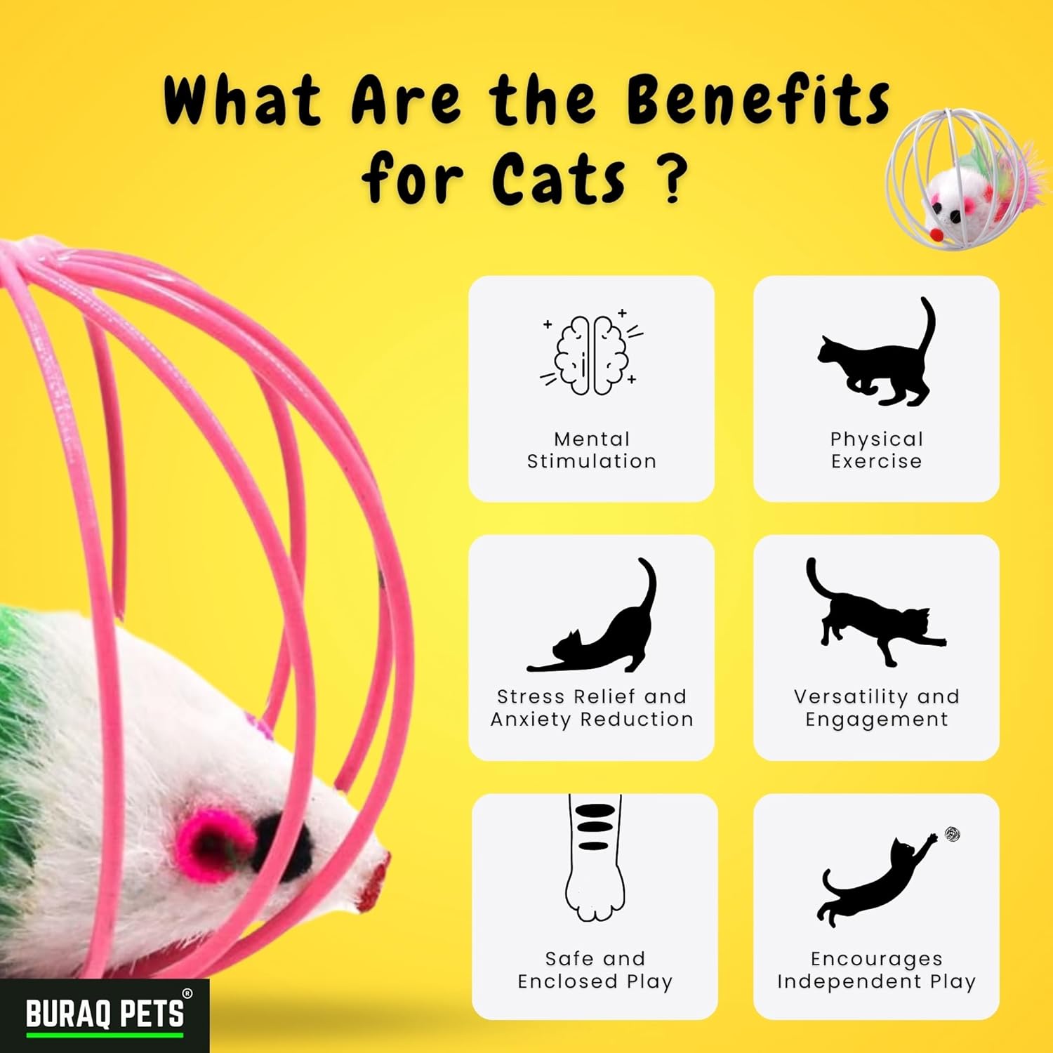 BURAQ 2 Pcs Cat Ball Toy, Cute & Fun Interactive Caged Rats Rolling Cat Balls, Mouse Ball Toys Cat Toys for Kittens