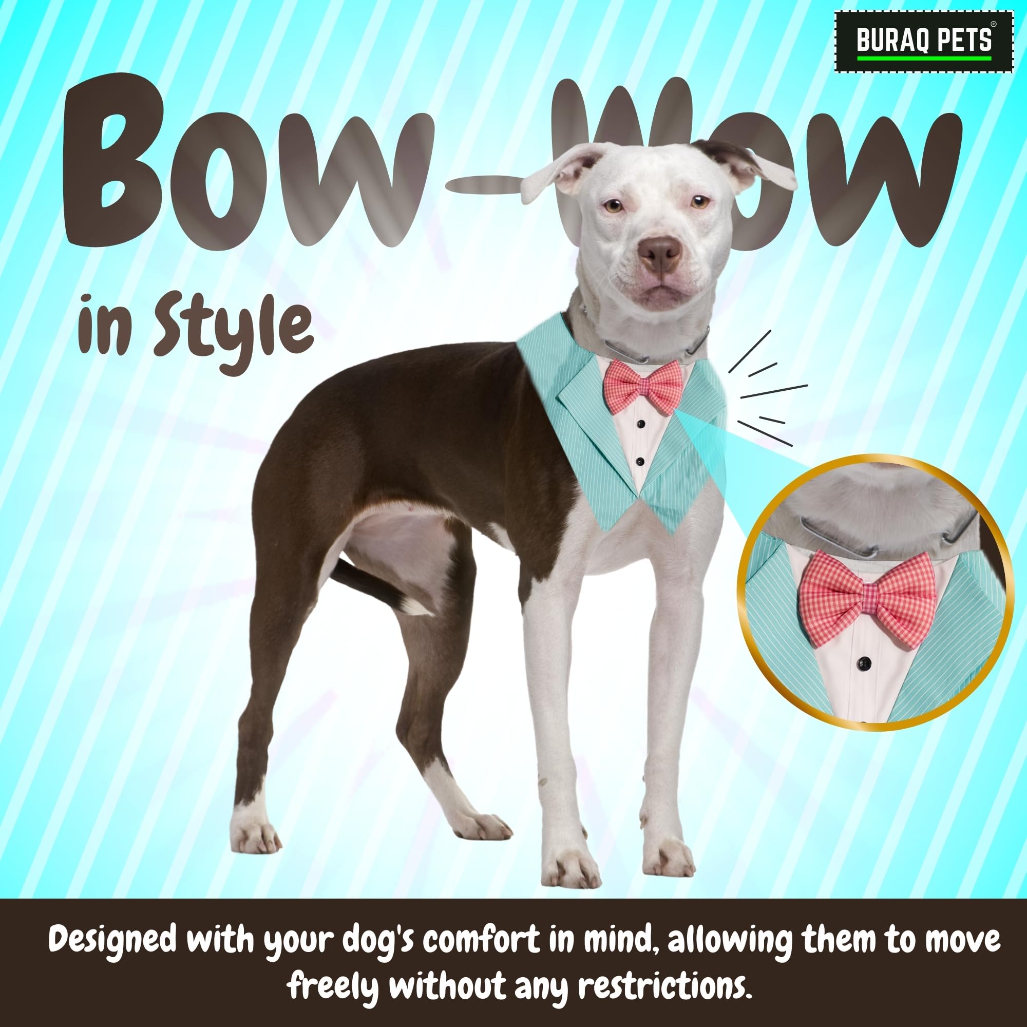 Dog Tuxedo Aqua Blaze Bandana