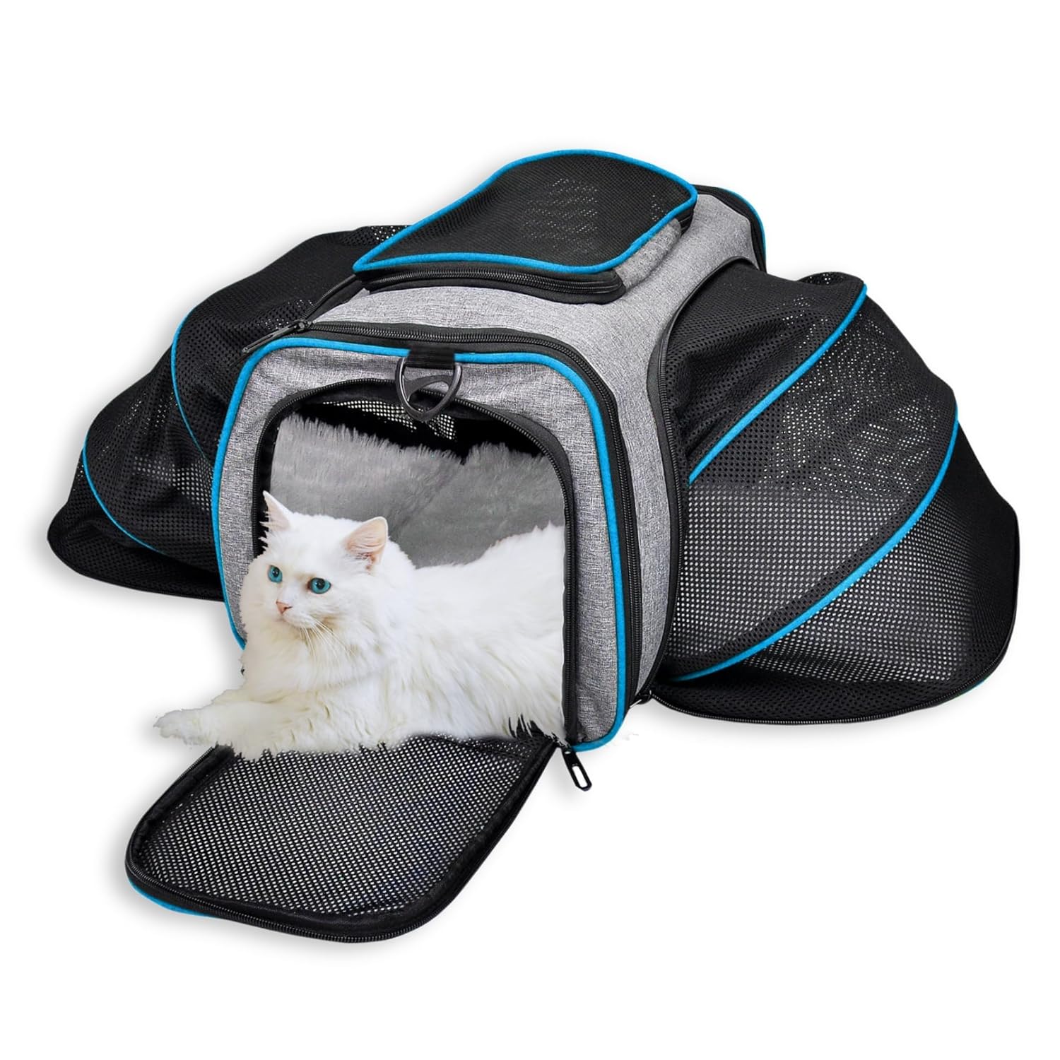 Buraq Expandable Premium Pet Luggage Carrier, Detachable & Adjustable Travel Bag with Ventilation, Lightweight, Durable & Portable for Cats (Ruby Red)