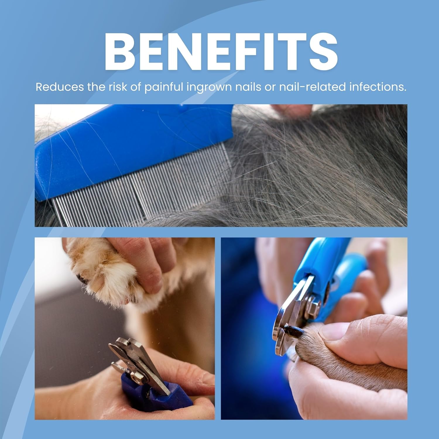 Buraq Pets Proffesional 2 in 1 Dog Nail Cutter with Nail Filer & Flea Comb, Claw Grooming Tool Set for Small, Medium, and Large Dogs, Puppies, Cats & Kittens (Nail Cutter + Flea Comb)