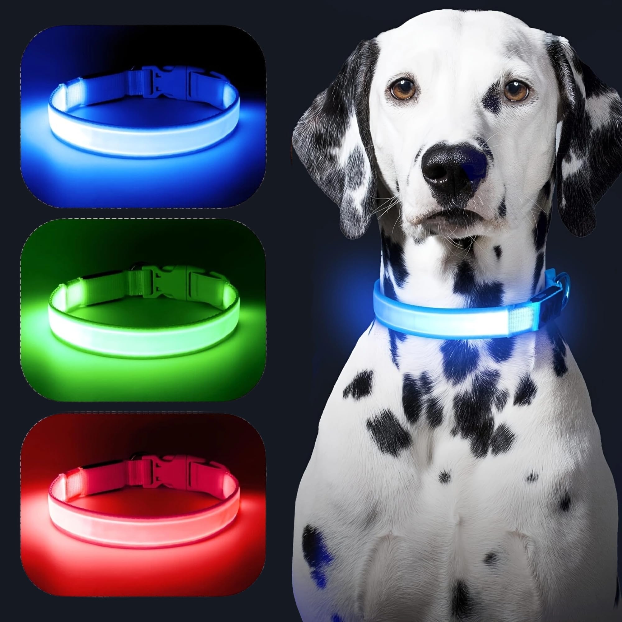 Led Dog collor