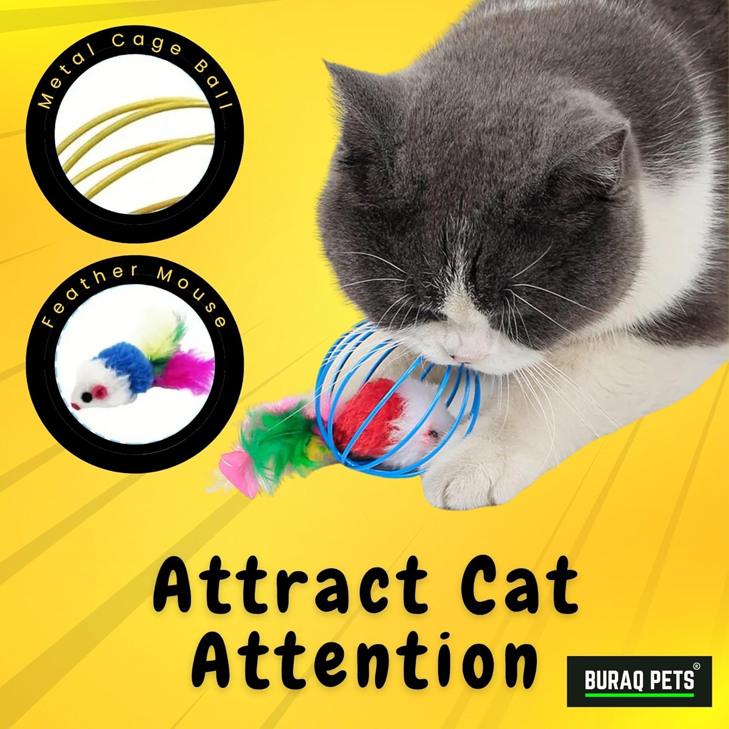 BURAQ 2 Pcs Cat Ball Toy, Cute & Fun Interactive Caged Rats Rolling Cat Balls, Mouse Ball Toys Cat Toys for Kittens