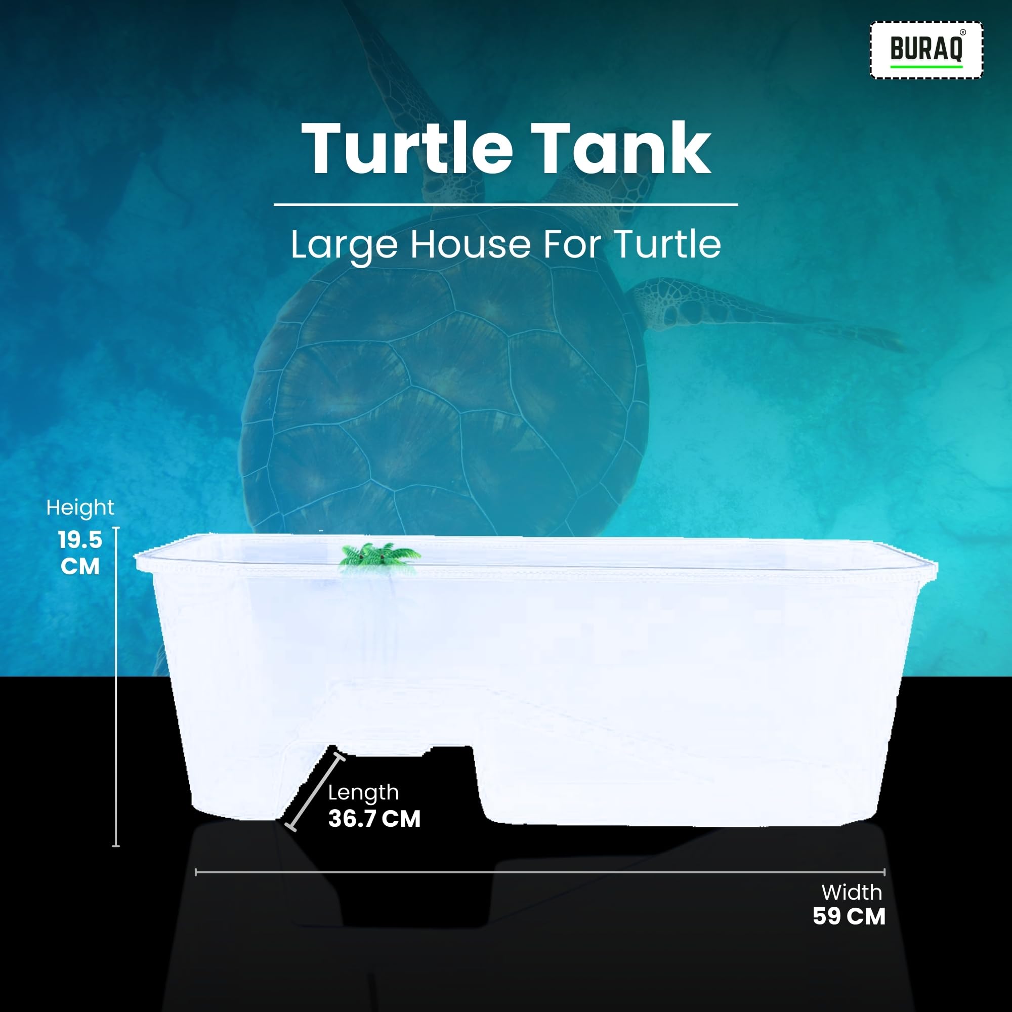 B2 FT Turtle Aquarium Tank - BURAQ PETS