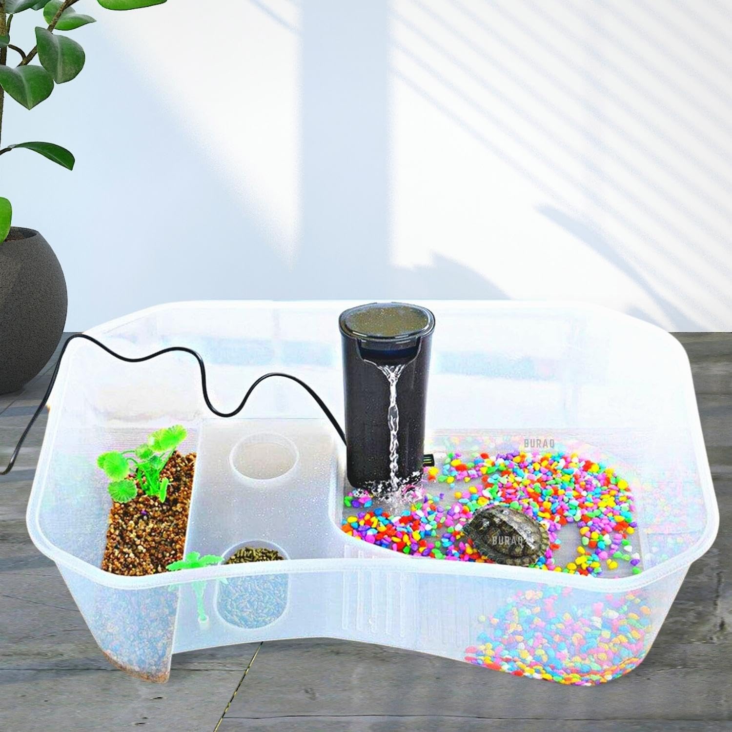 B2 FT Turtle Aquarium Tank - BURAQ PETS