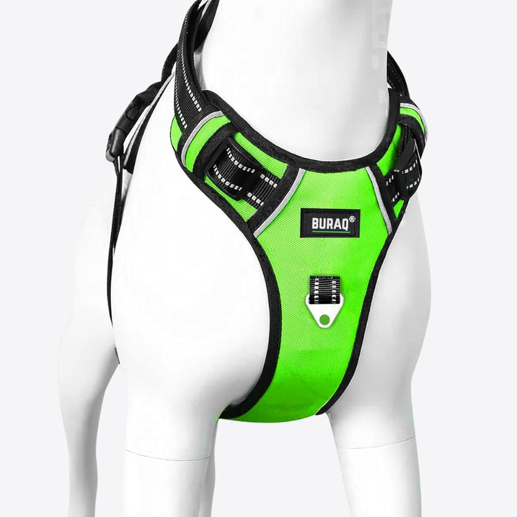 BURAQ PETS