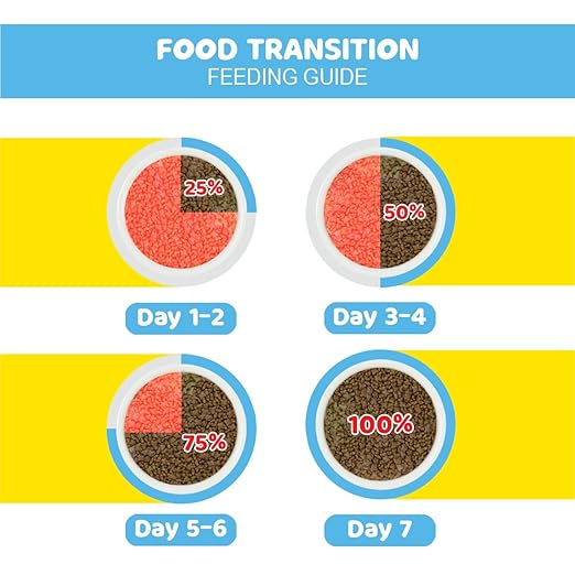 Me - O Kitten Dry Cat Food ( Flavor - Ocean Fish ) - BURAQ PETS