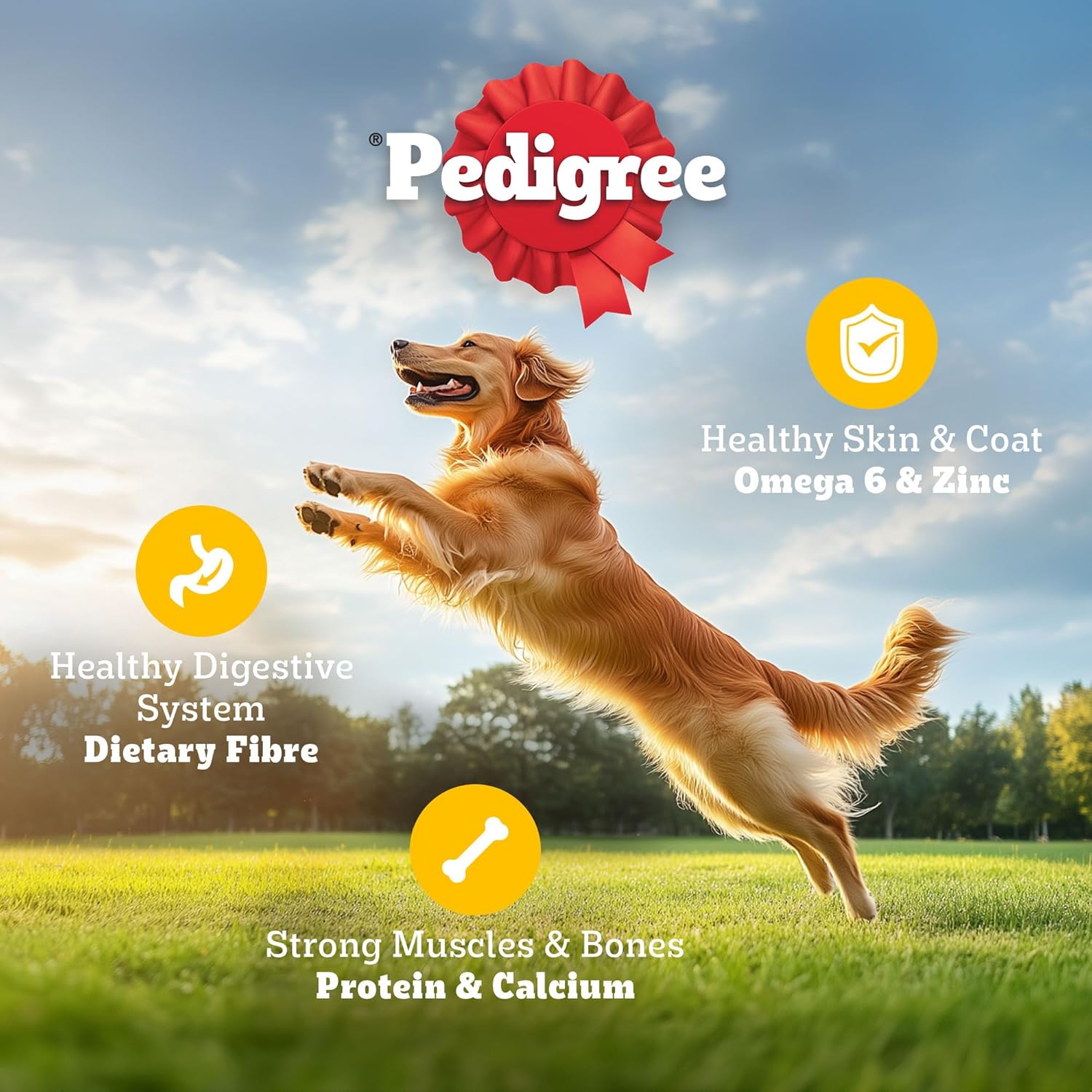 Pedigree Adult Dry Dog Food ( Flavour - Meat & Rice ) - BURAQ PETS