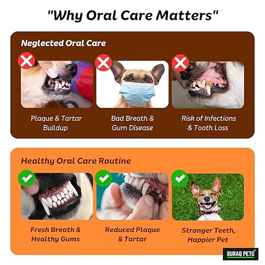 Pet Oral Care Kit – 70g Dog Toothpaste with 3 Toothbrushes - BURAQ PETS
