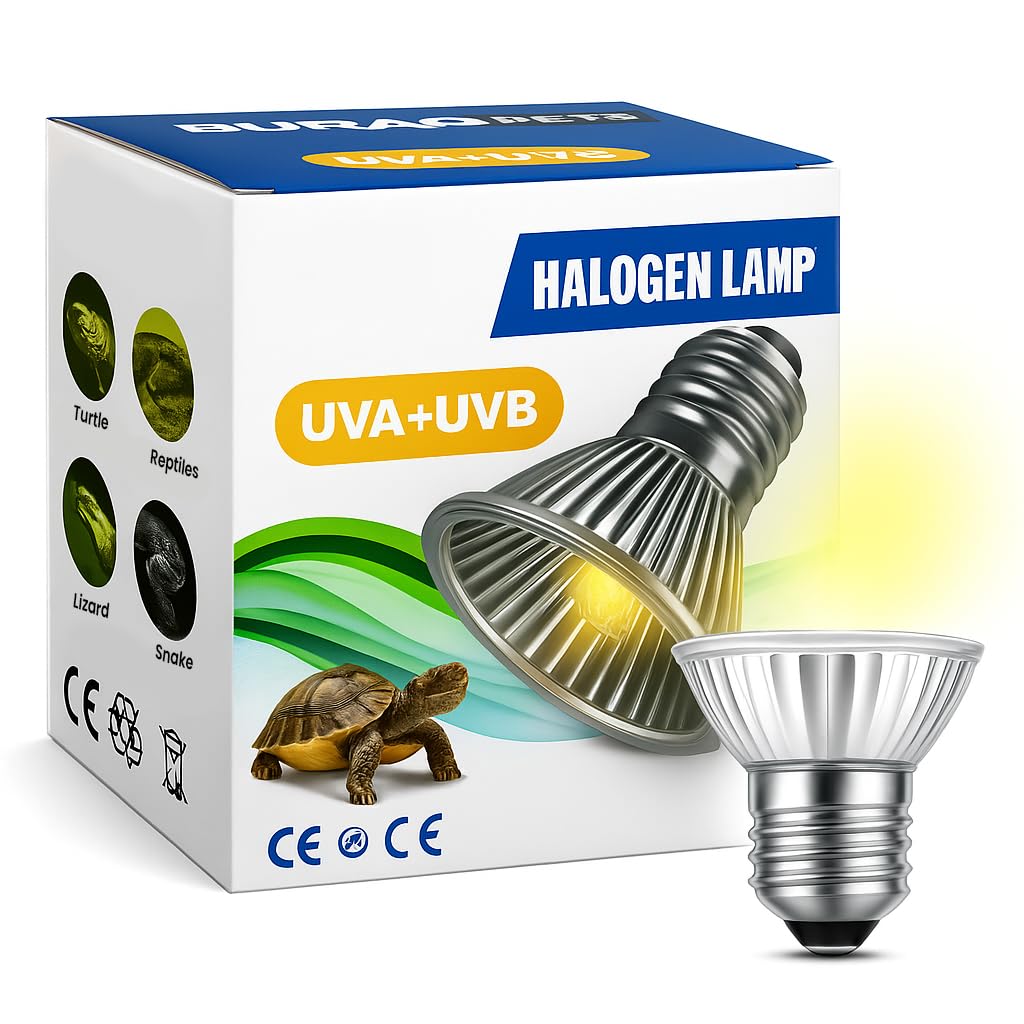 UVB Basking Heat Light Bulb for Reptile Turtle Set of – BURAQ PETS