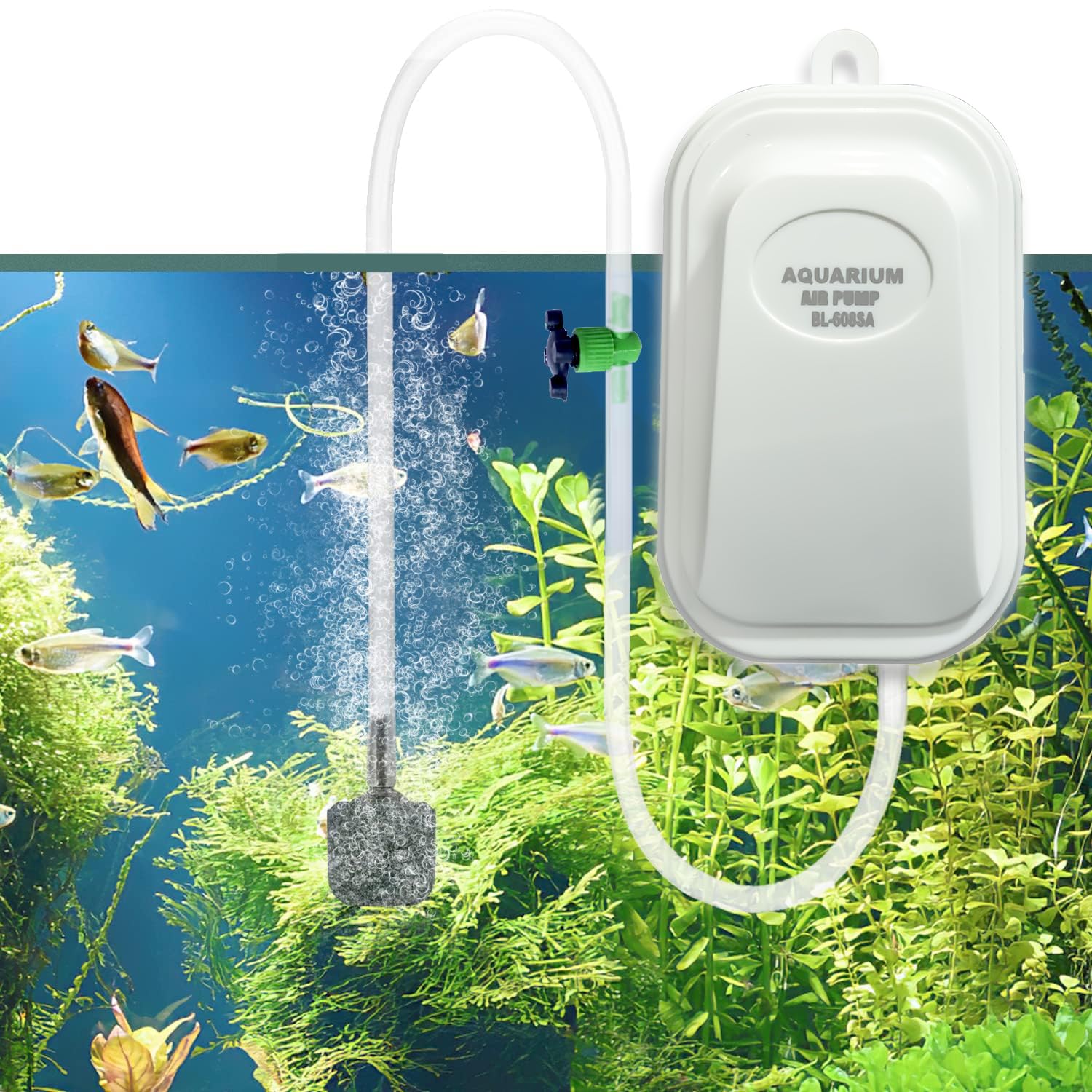 Super Silent Aquarium Air Pump, Long Lasting Performance, ( Single Outlet ) - BURAQ PETS