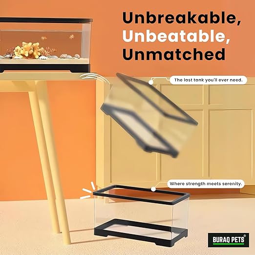 Unbreakable Curved Aquarium Tank – 12L - (Small (12L x 7.7W x 7H - Inches) - BURAQ PETS