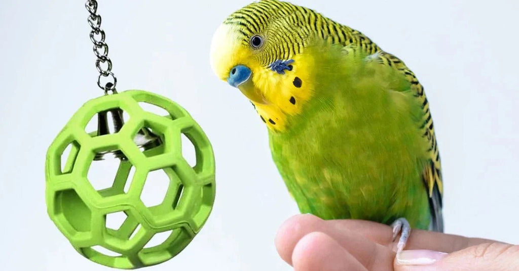 15 Best Bird Toys for Mental Stimulation in 2025 (Vet-Approved) - BURAQ PETS