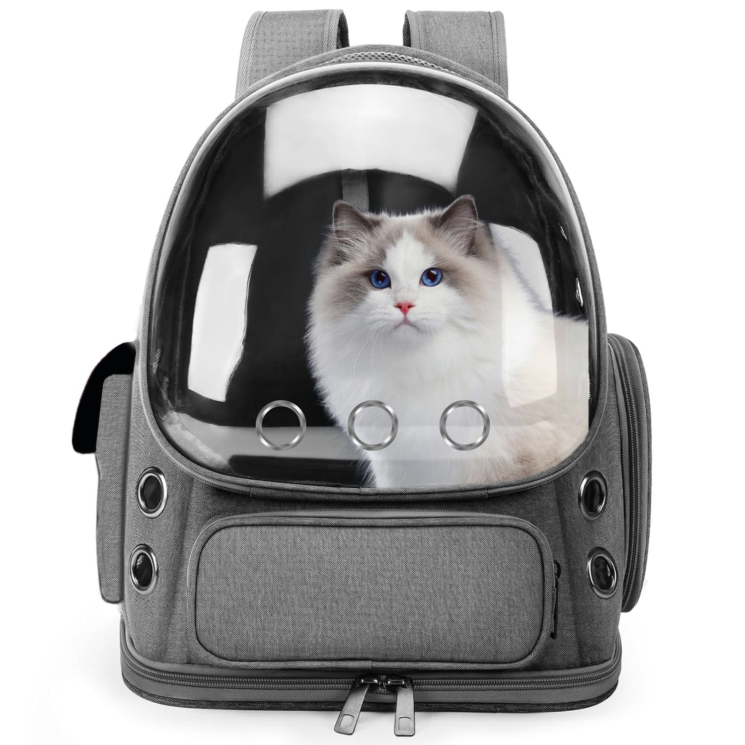 Are Cat Carriers Worth It? Best Travel Tips for Indian Cat Parents - BURAQ PETS