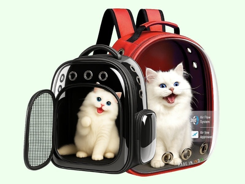Best pets Carrier Bags for Travel in India – Complete Guide for Pet Parent - BURAQ PETS
