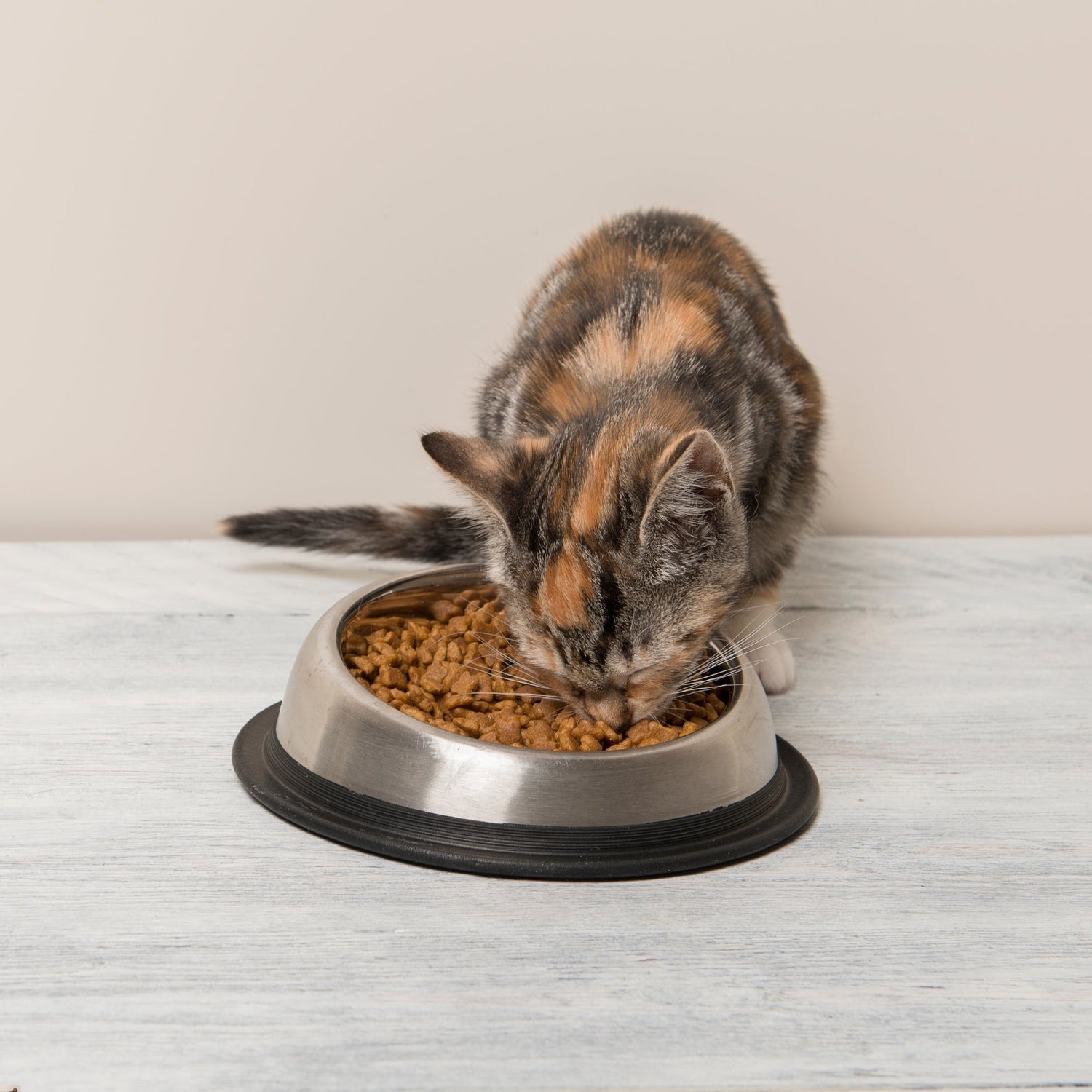 The Ultimate Cat Diet Guide: How to Choose the Right Food for Your Feline in India - BURAQ PETS