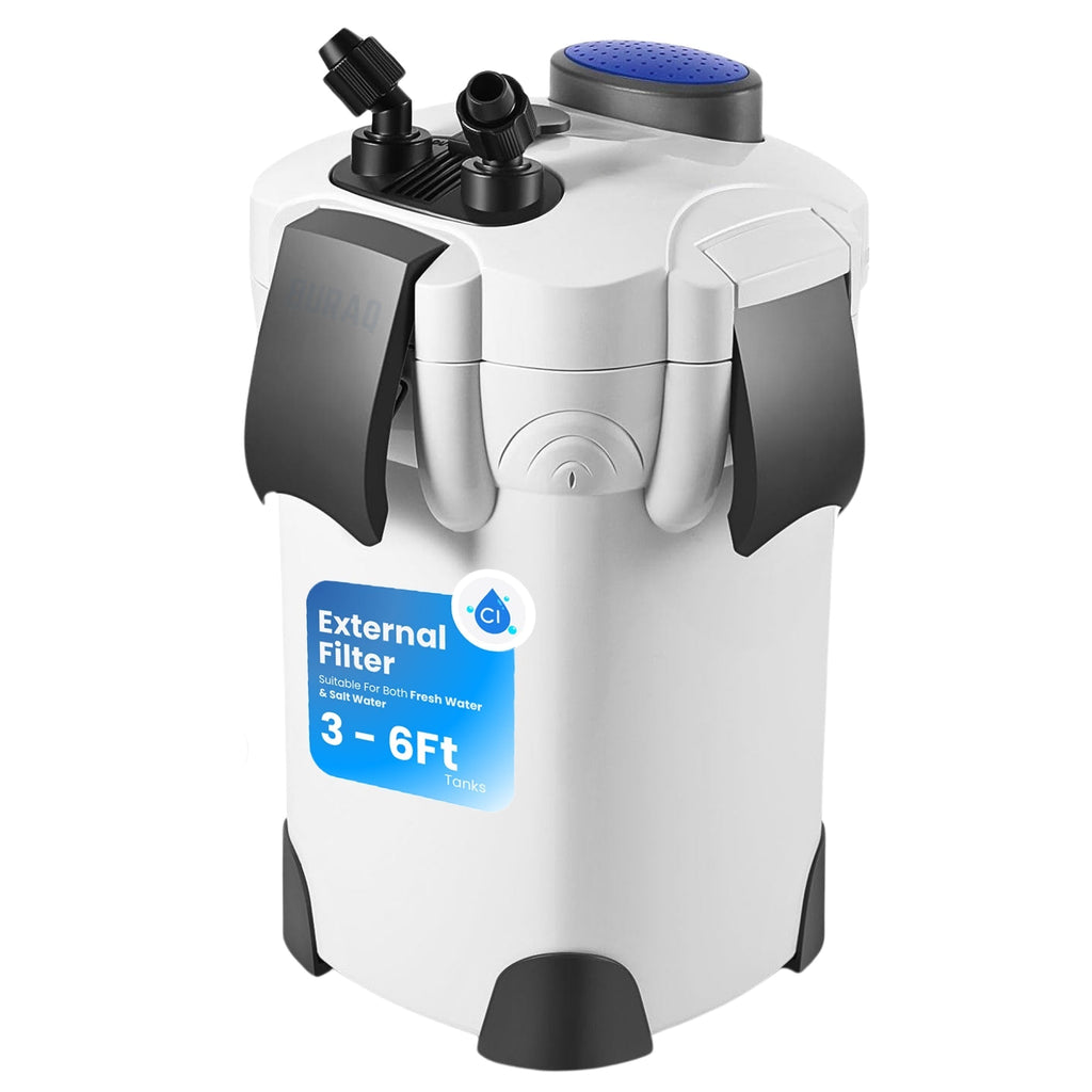 Ultimate Guide to Choosing the Best Canister Filter for Your Fish Tank: Top Picks & Expert Tips - BURAQ PETS