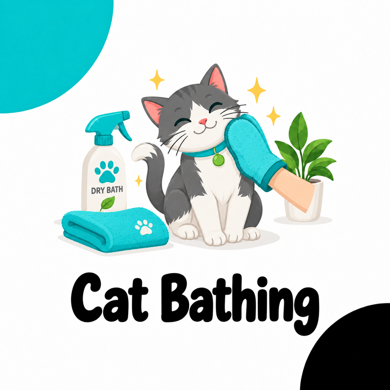 Cat Dry Bath & Quick Grooming | Buraq Pets