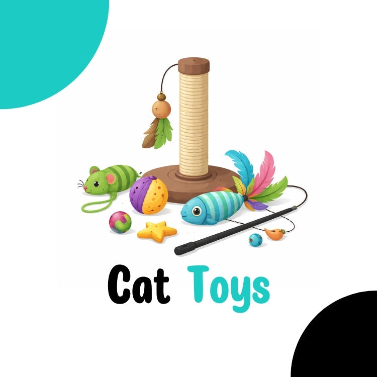 Cat Toys & Play Essentials | Buraq Pets