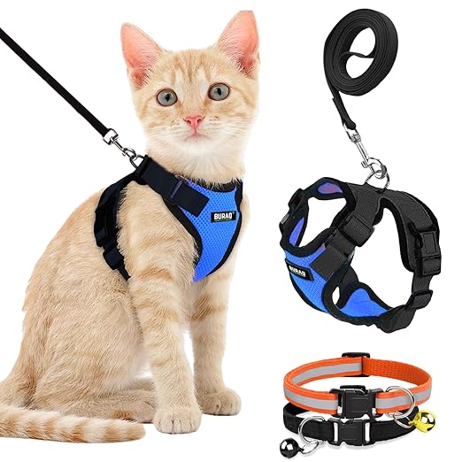 CAT PRODUCTS - BURAQ PETS