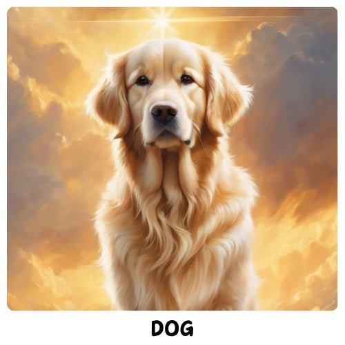 DOG PRODUCTS - BURAQ PETS