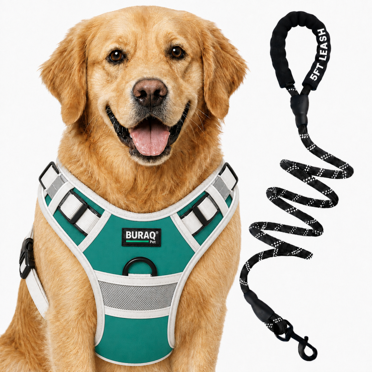 Premium No Pull Dog Harness with Leash - Adjustable Padded Vest