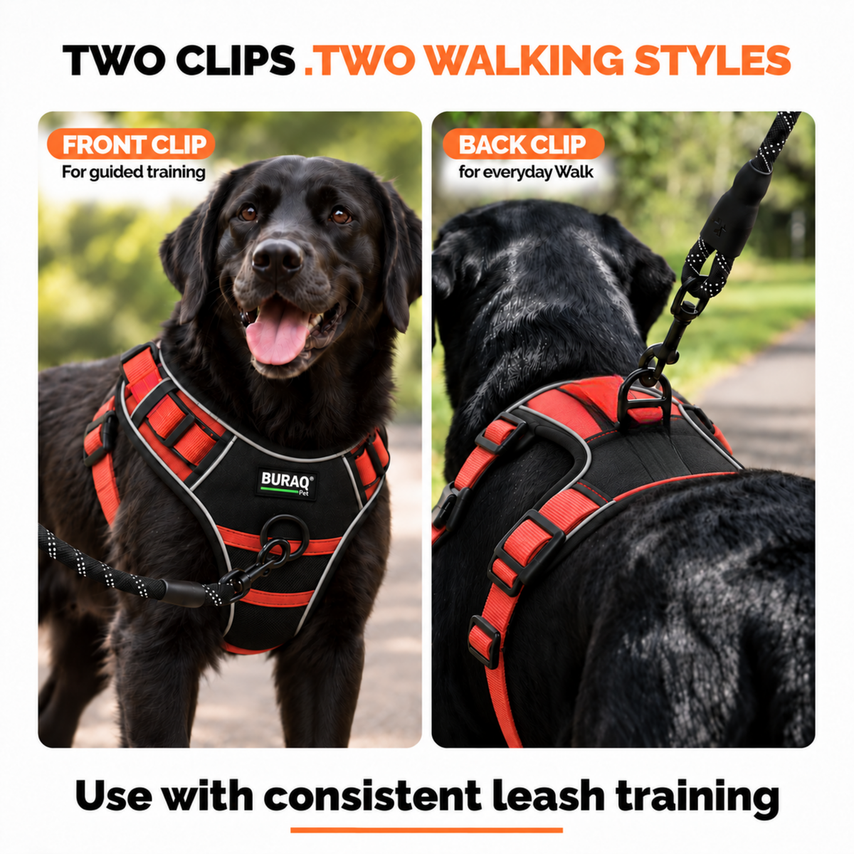 Premium Dog Harness with Leash | Reflective | No Pull Adjustable