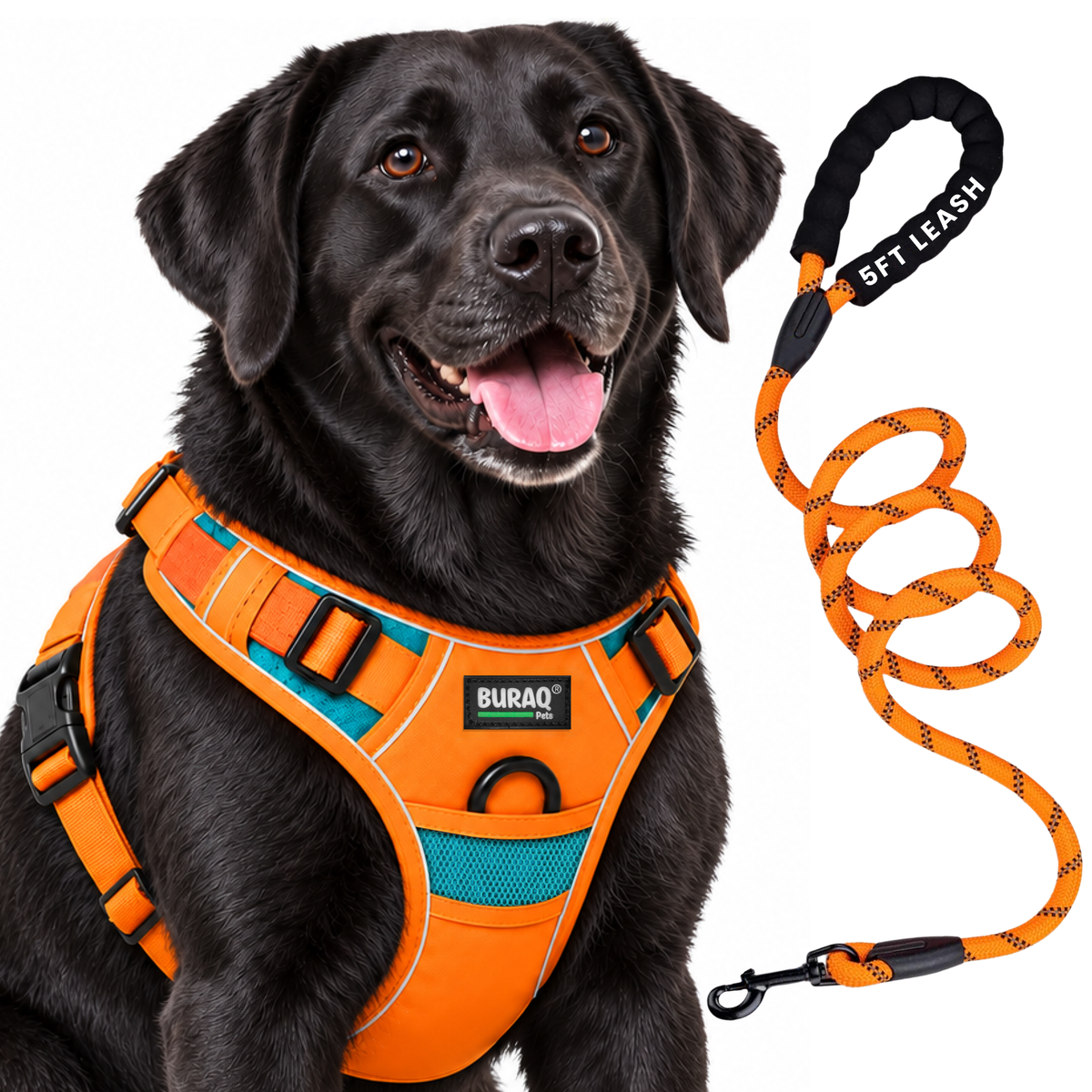 Premium No Pull Dog Harness with Leash - Adjustable Padded Vest