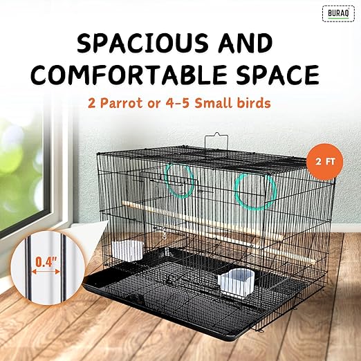 2 Ft Metal Bird Cage – With 3 Swings Toys for Pet Birds - BURAQ PETS