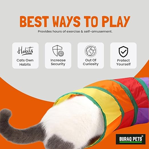 2 - Way Rainbow Cat Tunnel – Collapsible & Interactive Toy for Indoor/Outdoor Play - BURAQ PETS