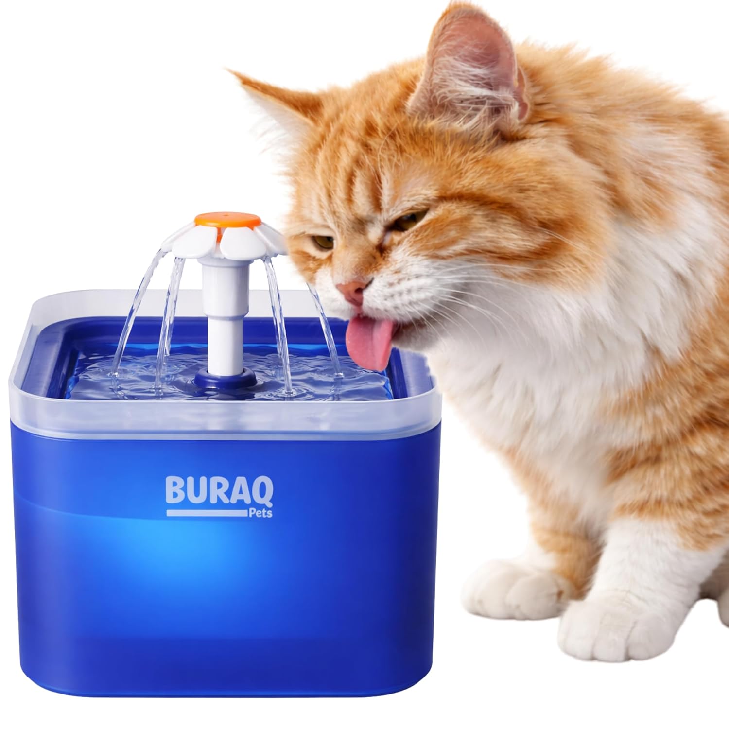 2.2L Automatic Cat Water Fountain with LED – premium pet product by Buraq Pets