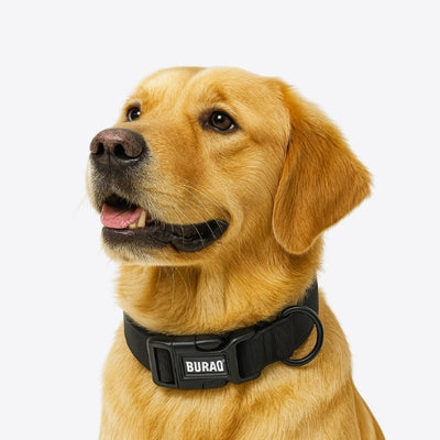 Collar