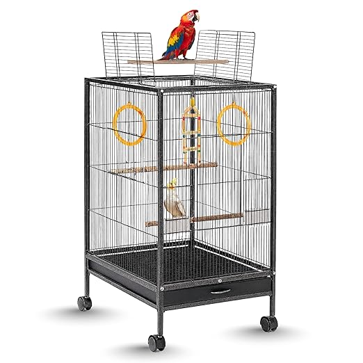 30 Inch Large Bird Cage – With Wheels & Accessories Set - BURAQ PETS