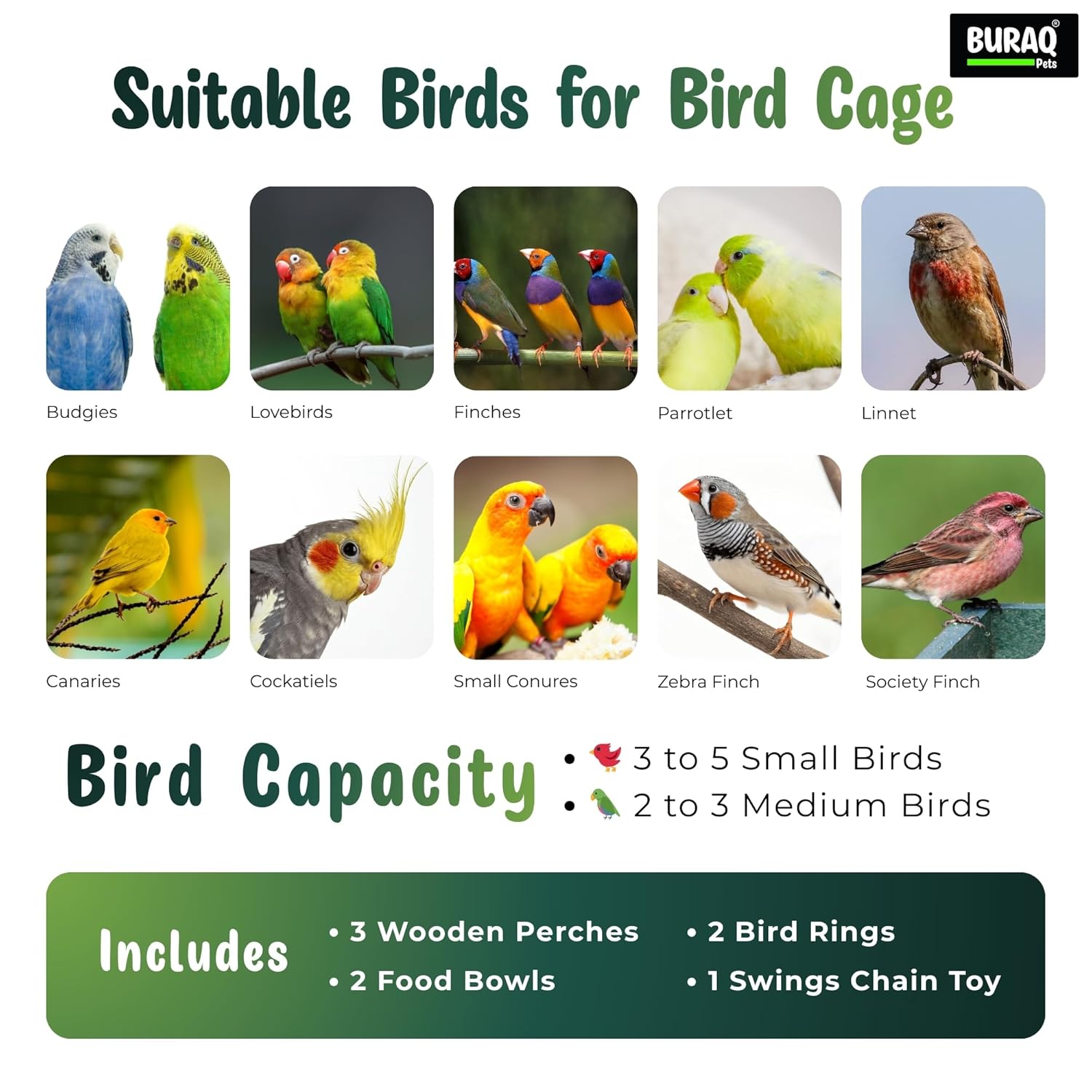 30 Inch Large Bird Cage – With Wheels & Accessories Set - BURAQ PETS