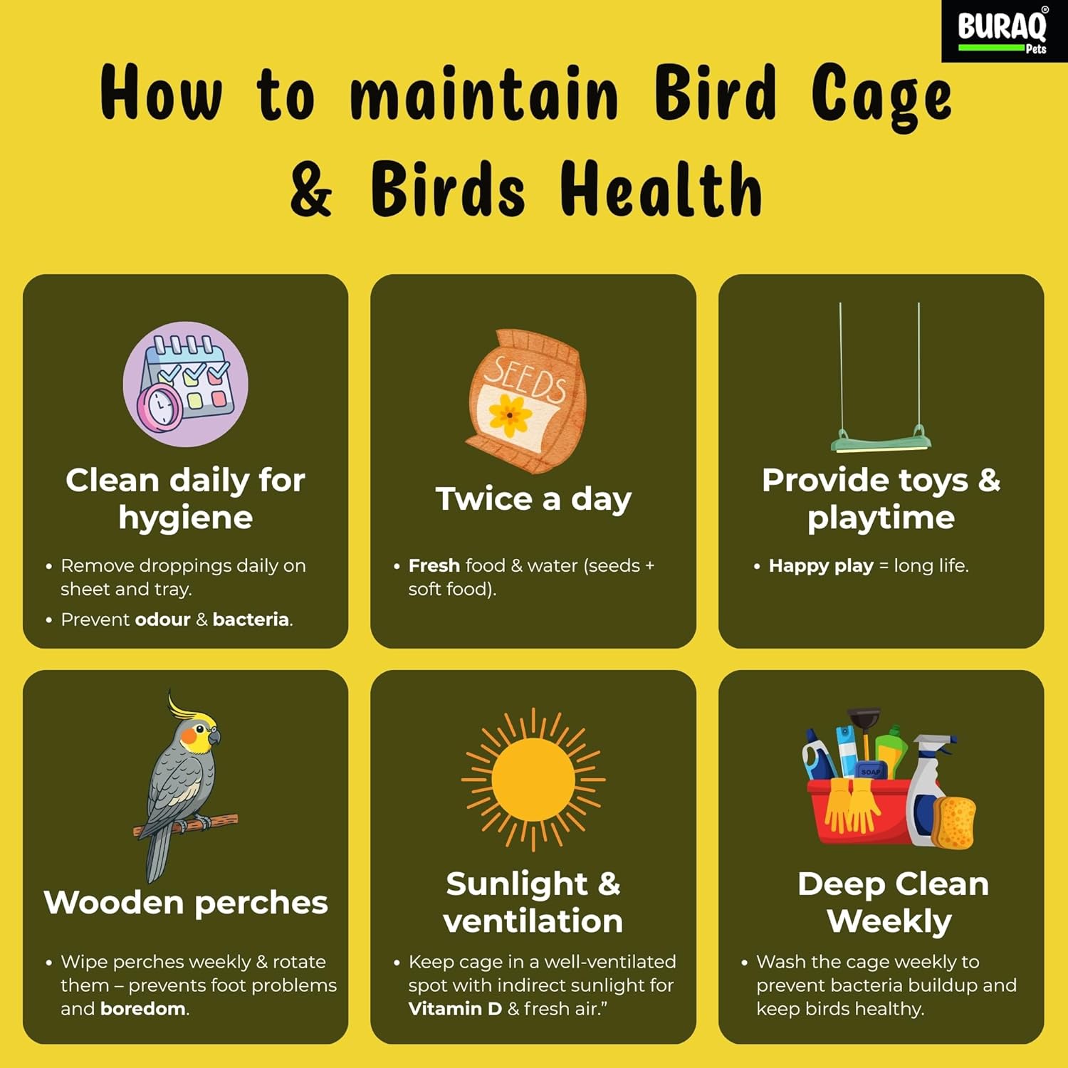 30 Inch Large Bird Cage – With Wheels & Accessories Set - BURAQ PETS