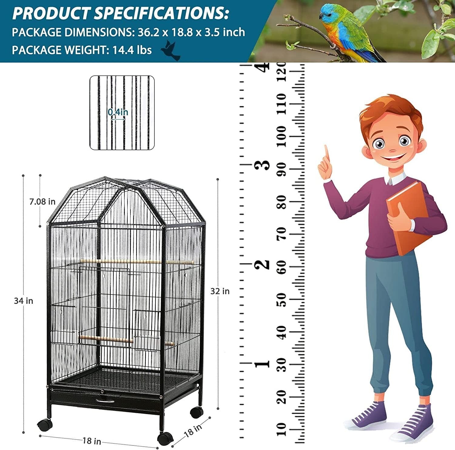 30 Inch Open Top Bird Cage - Designed Ultra Strong & Sturdy - BURAQ PETS