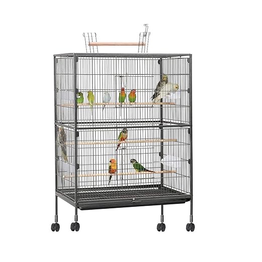38 - Inch XXL Bird Cage – With Locking Casters & Accessories | For Small & Medium Birds - BURAQ PETS