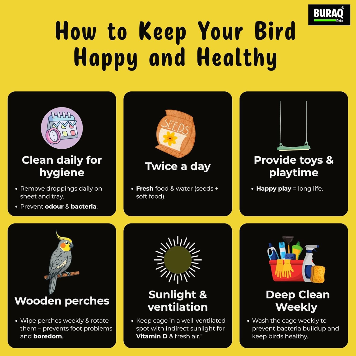 48 - Inch XL Bird Cage – Extendable with Wheels & Accessories - BURAQ PETS