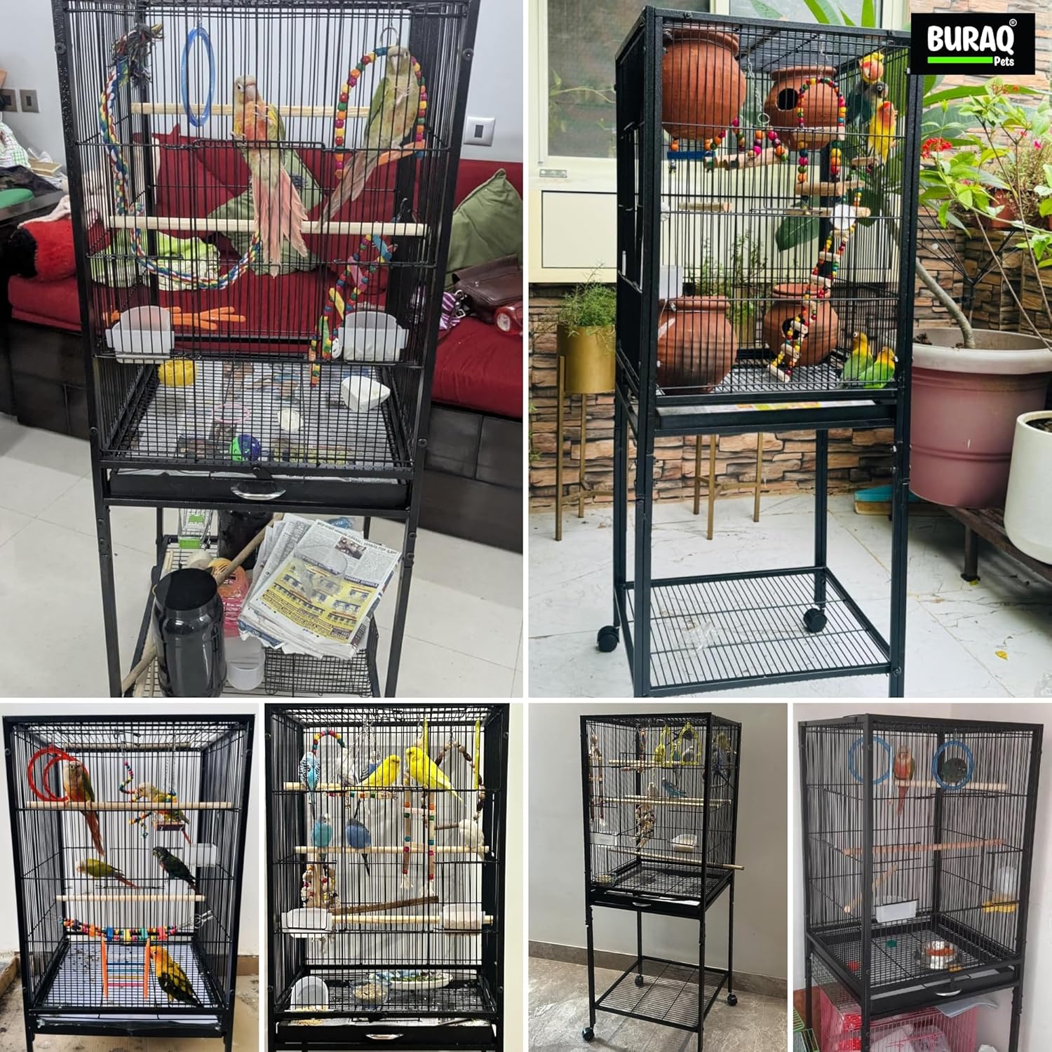 48 - Inch XL Bird Cage – Extendable with Wheels & Accessories - BURAQ PETS