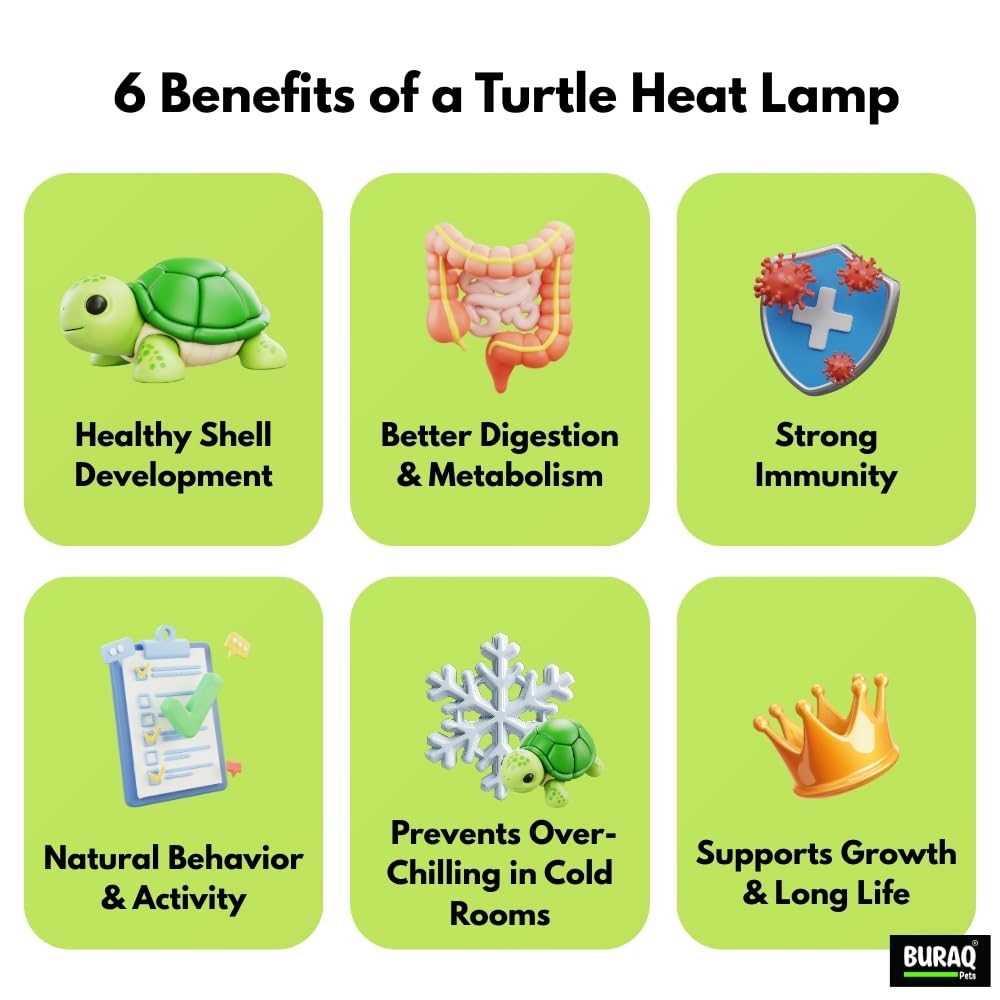 Reptile Heat Lamp – E27 UVA+UVB Light with Holder & Bulb – premium pet product by Buraq Pets