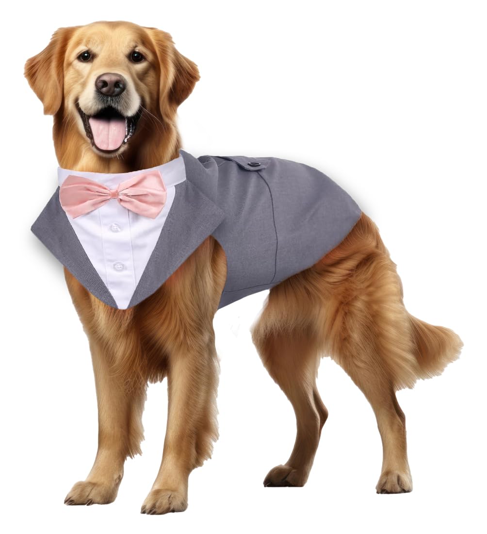 Buraq Pets Dog Tuxedo Dress Suit Bandana Set, Bow tie, Wedding Party Suit, for Small Medium Large, Male and Female Dogs Golden Retriever, Labrador, shitzu, Pug (S - Grey)