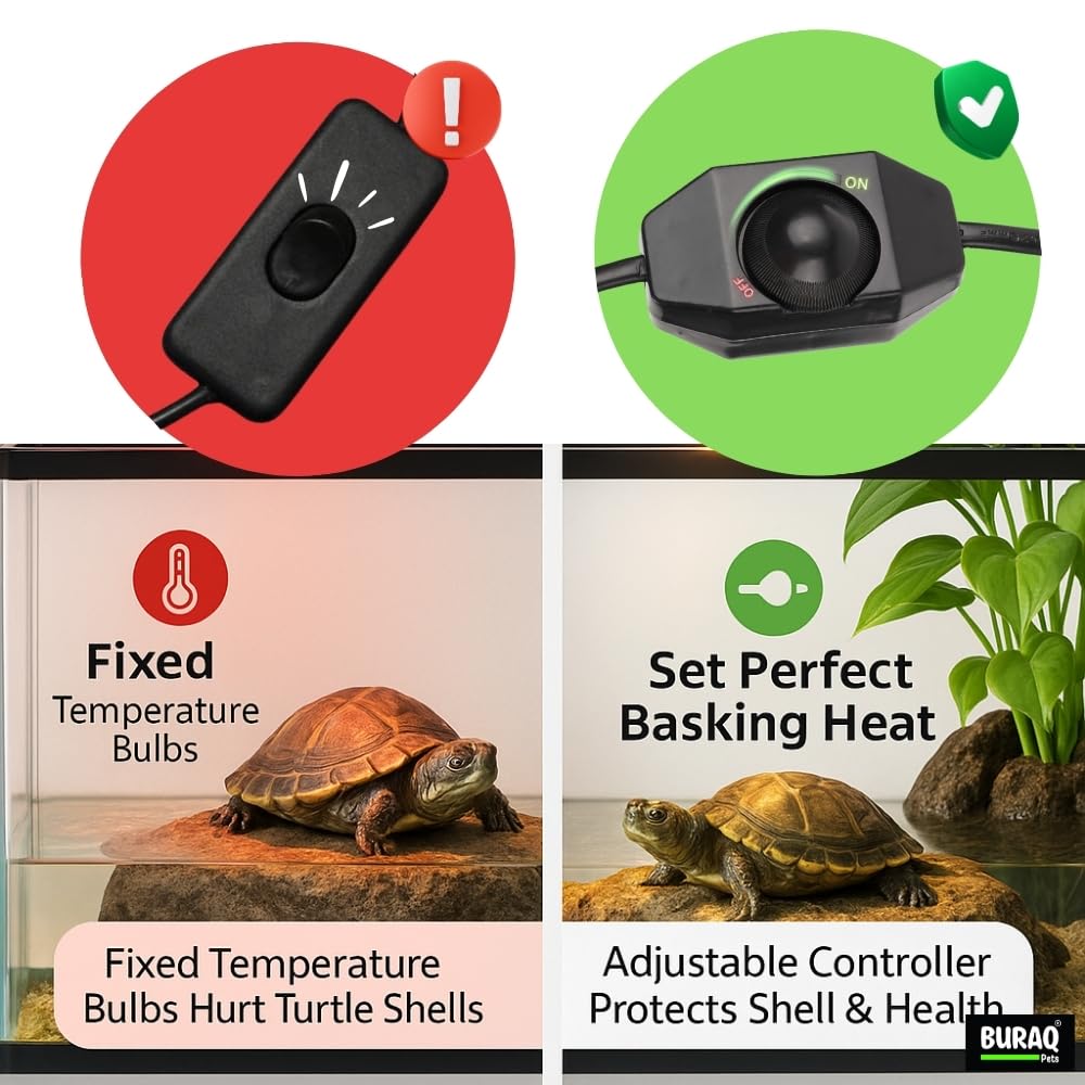 Reptile Heat Lamp – E27 UVA+UVB Light with Holder & Bulb – premium pet product by Buraq Pets