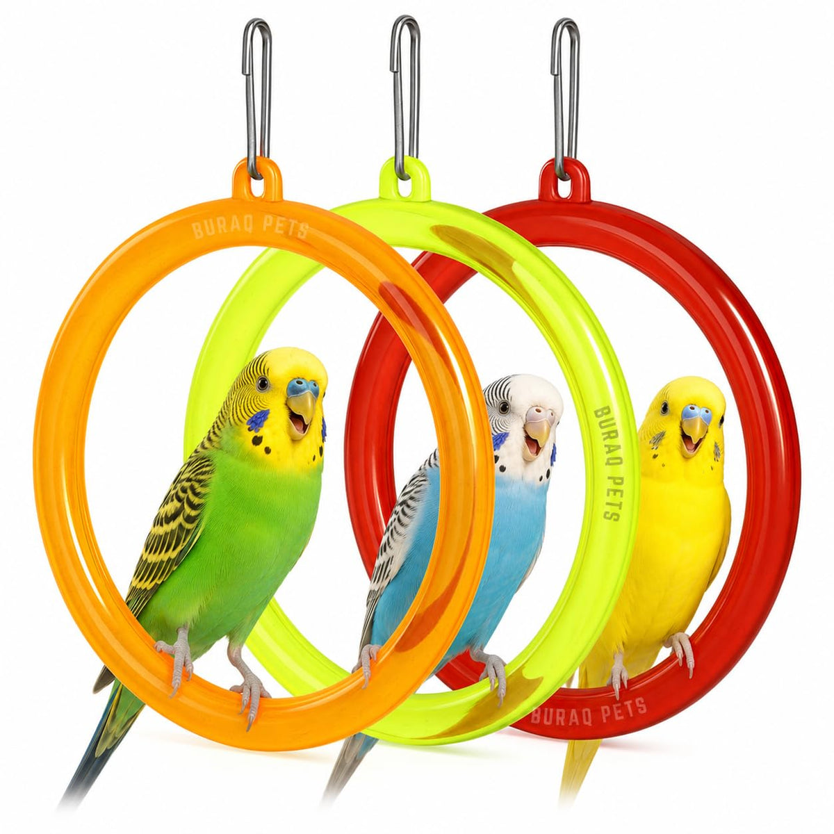 3 Pcs Interactive Playful Bird Hanging Ring - for Hanging Swing | Holding | Chewing & Playing | Set Suitable for Love Birds | Budgies | Parrot | Cockatiel | Conure | Finches